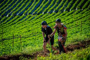 BIB: 
                            <button type="button" onclick="openModal(19160533)" class="btn btn-primary btn-sm float-right btn-popup" data-toggle="modal" data-target=".modal-high-quality">
                        <i class="fas fa-shopping-cart"></i> Add to Cart
                    </button>
                                            <button type="button" onclick="isThisMe(19160533, true)" class="btn btn-success btn-sm float-right btn-popup btn-isme hidden" data-toggle="tooltip" data-placement="bottom" title="นี่คือรูปของคุณใช่ไหม คลิกที่นี่เพื่อเอาเข้าอัลบั้ม">
                        <i class="fas fa-plus"></i> Add to album
                    </button>
                    <button type="button" onclick="isThisMe(19160533, false)" class="btn btn-warning btn-sm float-right btn-popup btn-isnotme hidden">
                        <i class="fas fa-ban"></i> Remove from album
                    </button>